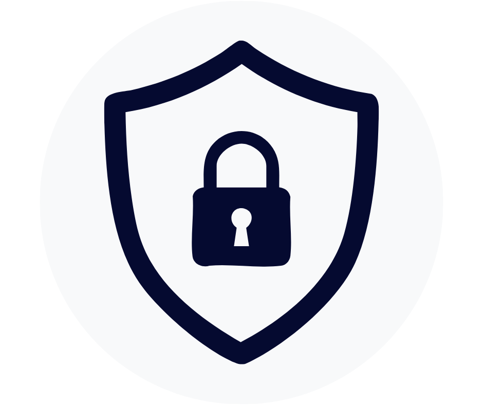 Network Security Icon
